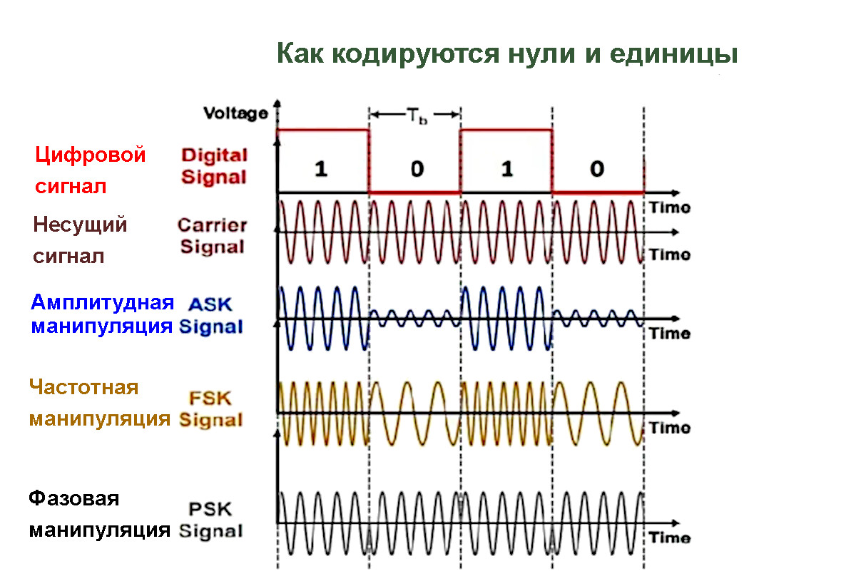 Как кодируются нули и единицы.jpg