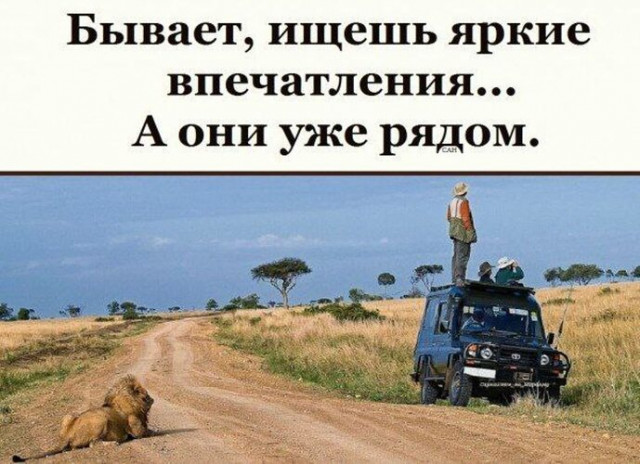 изображение_2025-05-21_154252405.png