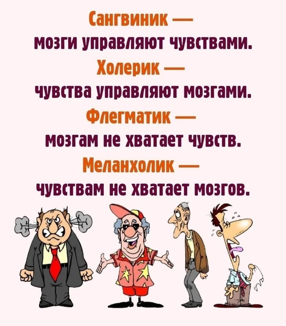 изображение_2025-06-05_183713118.png