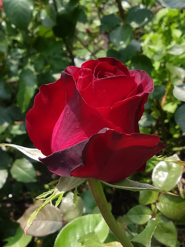 a6d1935f9eb3980119dc36ae0d7f5863.jpg
