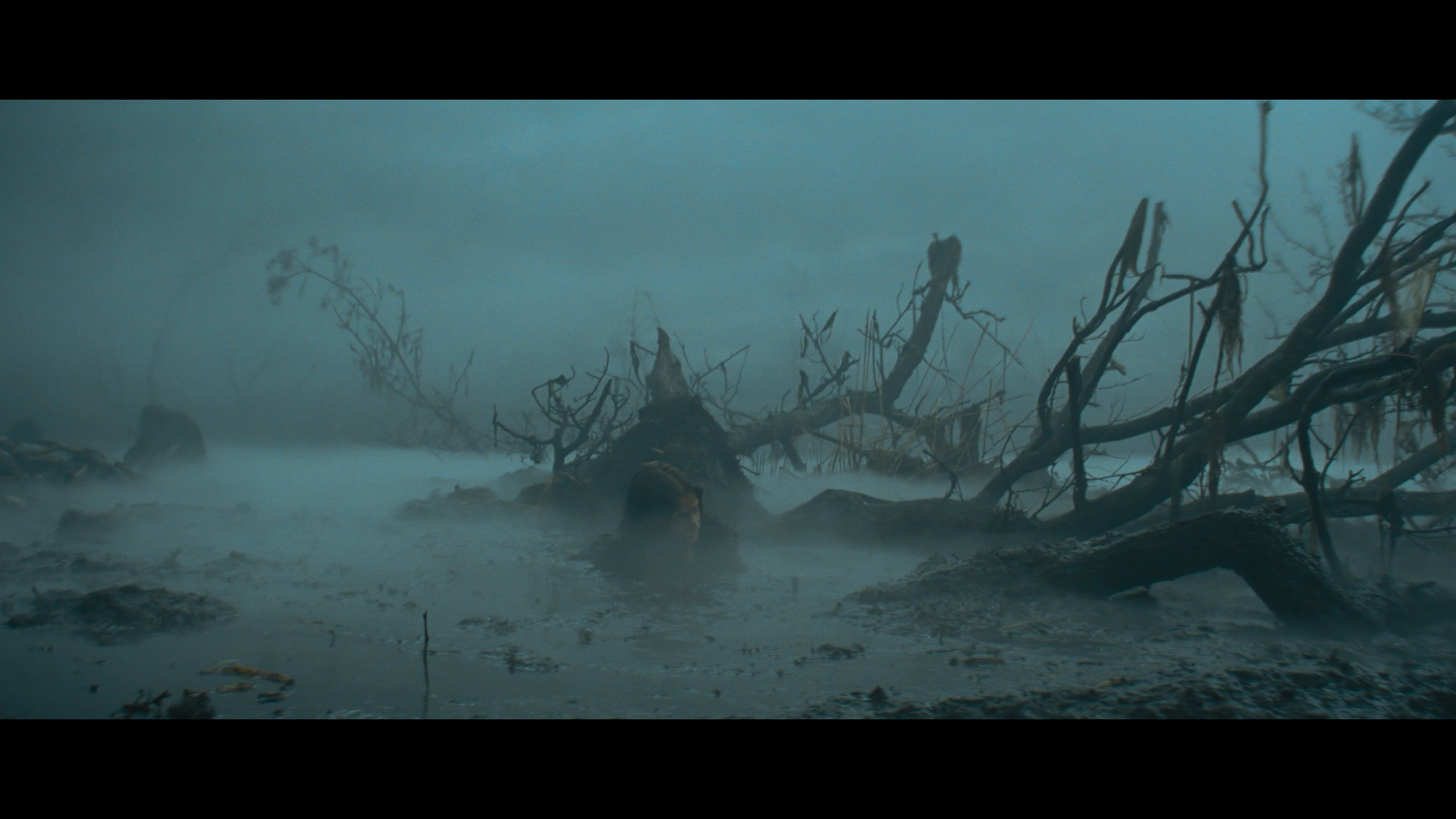 The.Neverending.Story.1984.Imprint.BDRemux.1080p.US.International.Cut[(060486)2025-06-08-13-43-06].PNG