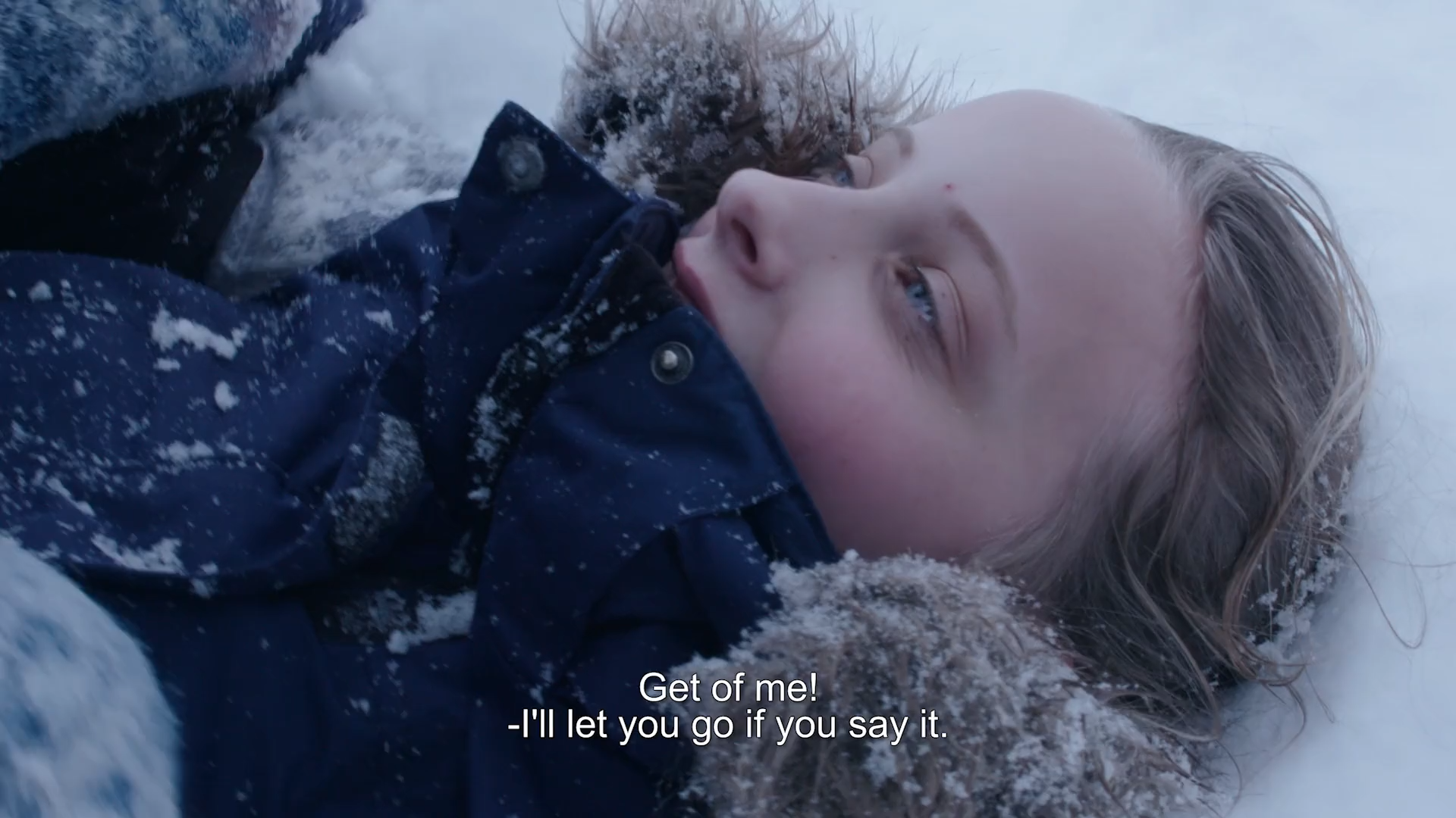 Villdyr 2017 WEB-DL 1080p.mkv_snapshot_01.22.png