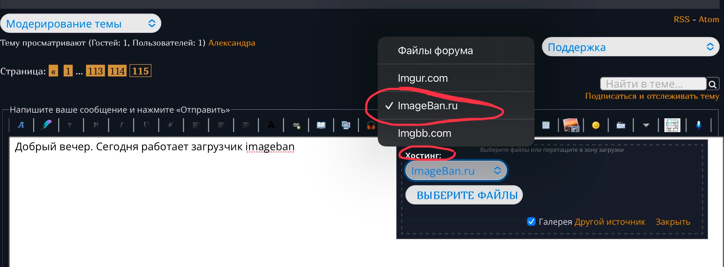 https://i4.imageban.ru/out/2025/06/20/02ee10eeb8307c7f00257baf3a9151fc.jpeg