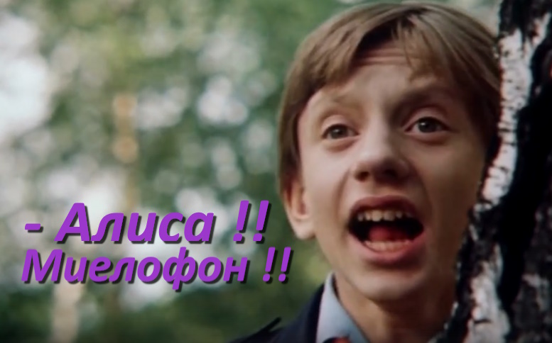 https://i4.imageban.ru/out/2025/06/20/d35f9c7440954a588e8a35cd132cadf4.jpg