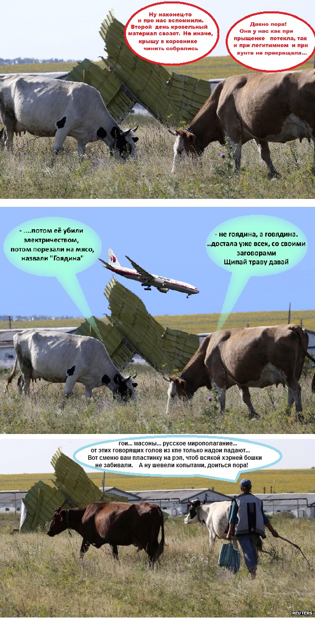 https://i4.imageban.ru/out/2025/06/22/6c717547c9aec66992e671accd26bc39.jpg