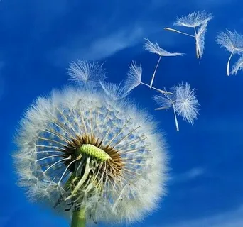 https://i4.imageban.ru/out/2025/07/03/0a91ee1461958b93b306f5f7c380c9ca.webp