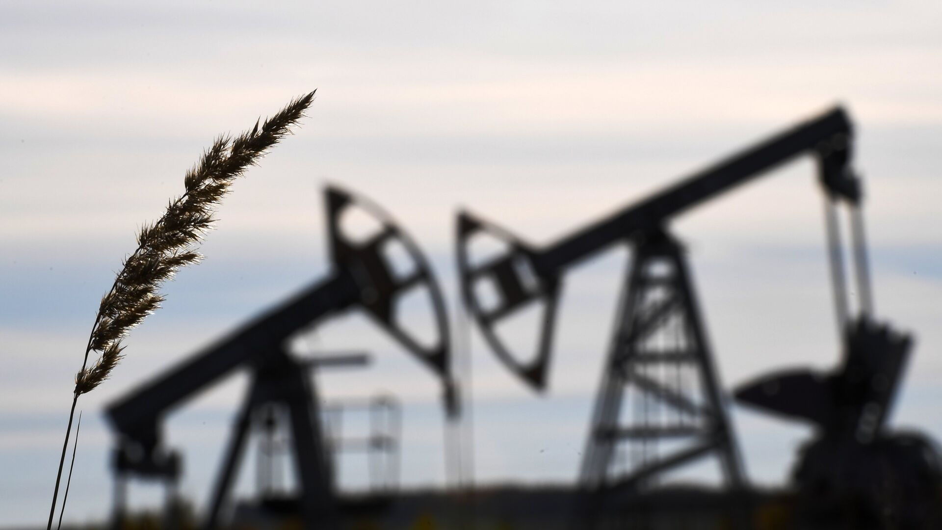 Эксперт рассказал о временном окне для смягчения нефтяной политики ОПЕК+