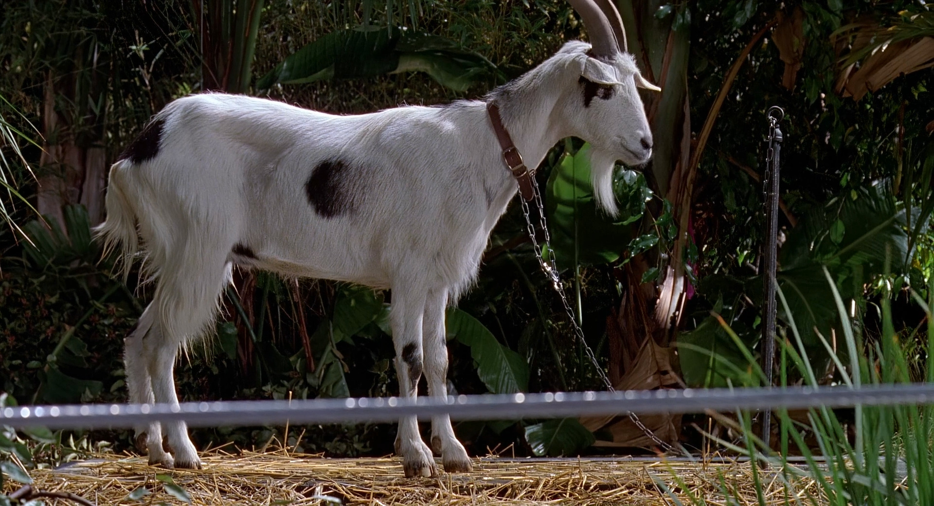 Парк Юрского периода.mkv (0_46_17) 000014.jpg