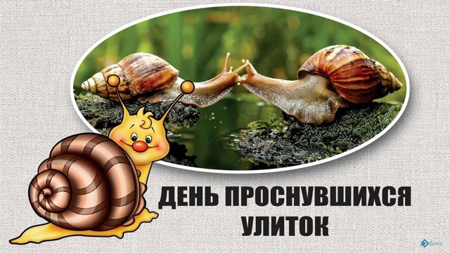 https://i4.imageban.ru/out/2025/08/17/bdeaddb7ba5b0d67a74e79ef4f650de7.webp