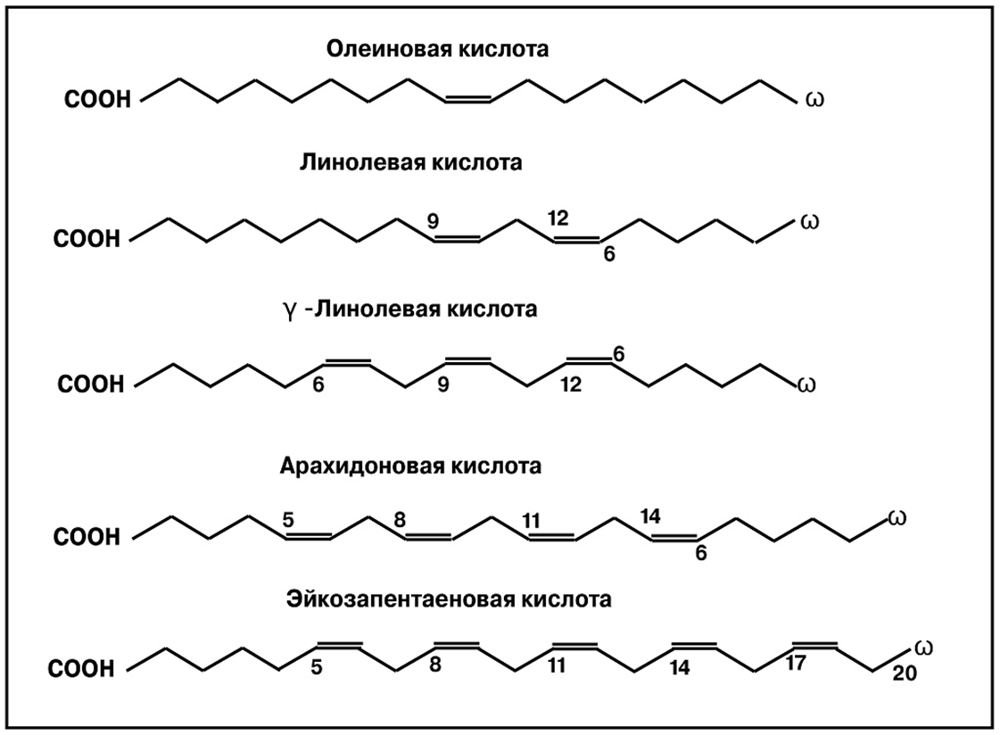 https://i4.imageban.ru/out/2025/08/19/3e12c494c2bf1a5584827a896d8c5301.png