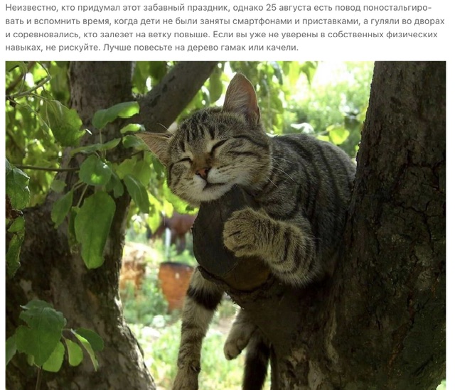 https://i4.imageban.ru/out/2025/08/25/bd71026419a835683818f7daba97dad4.jpeg