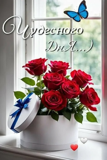 https://i4.imageban.ru/out/2025/08/30/37e61f0434963bf24701730ca78ea5c5.jpeg
