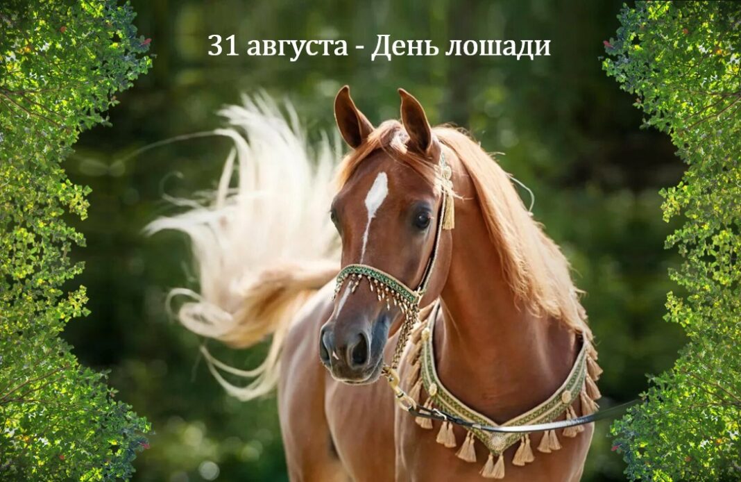 https://i4.imageban.ru/out/2025/08/31/1cb776b61a10a67a29272090beb67e96.jpeg