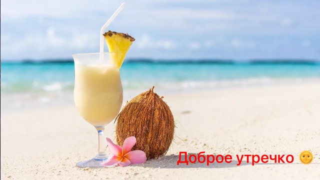 https://i4.imageban.ru/out/2025/09/02/808fbe61aaba1e4cd92a2b2468e48fe7.jpeg