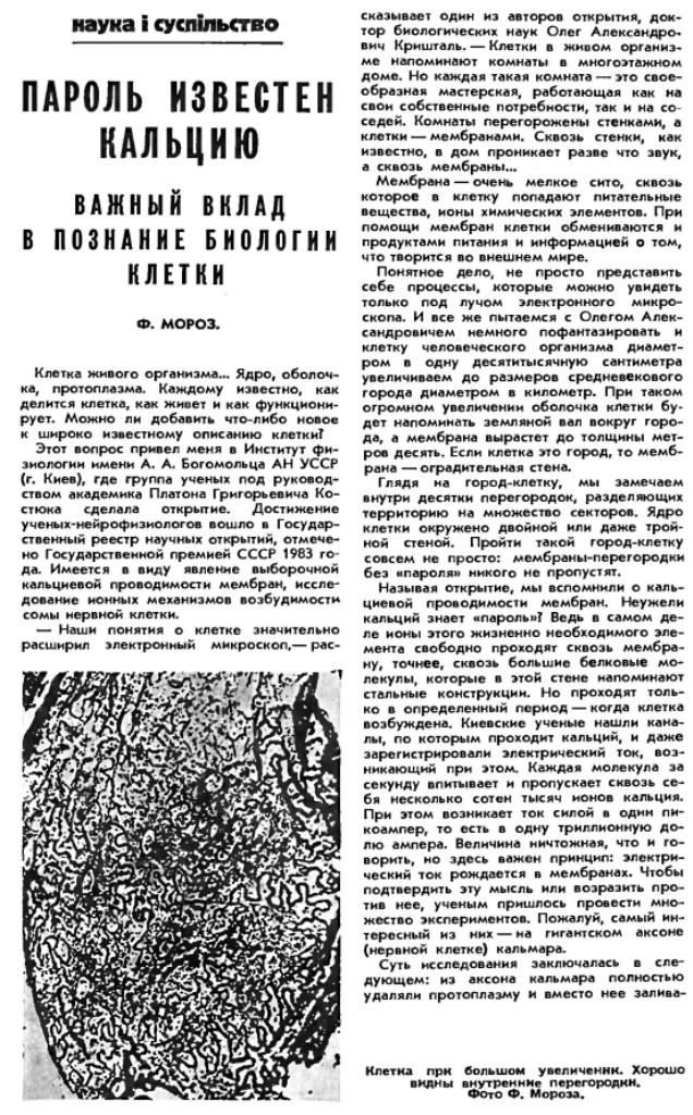 https://i4.imageban.ru/out/2025/09/04/883a5739c441a93893842b7768873d89.jpg