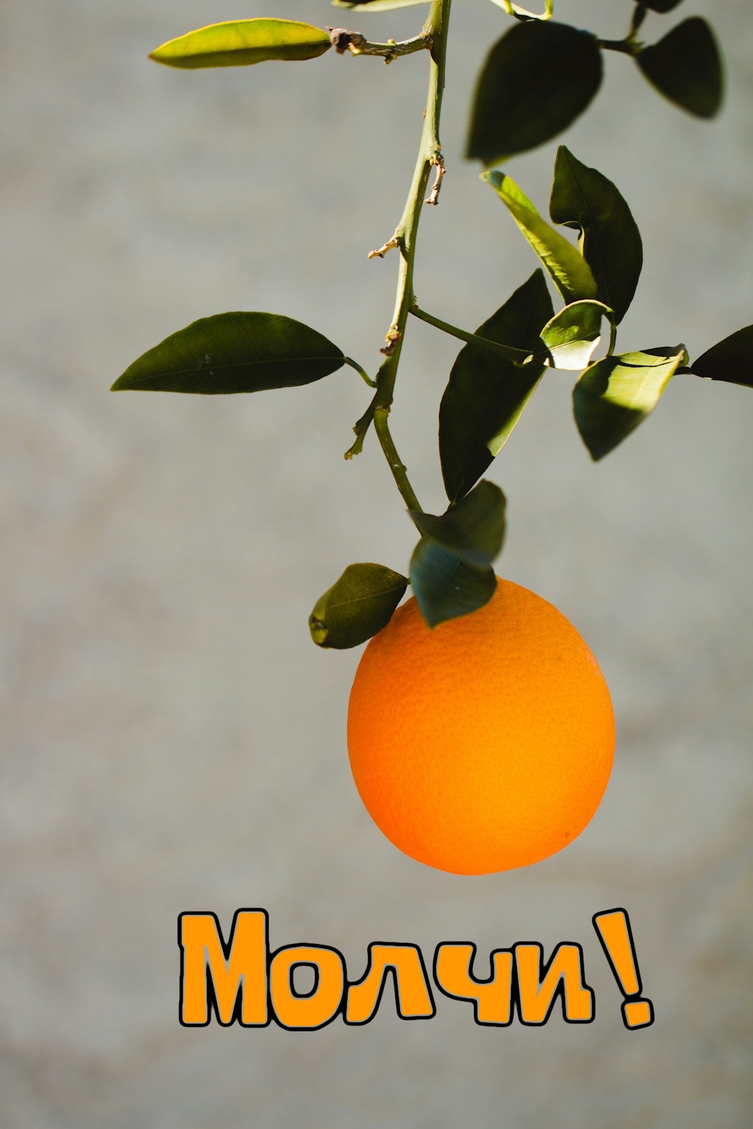https://i4.imageban.ru/out/2025/09/05/99ea9d125a9f2a8c9459350766510ce4.jpeg