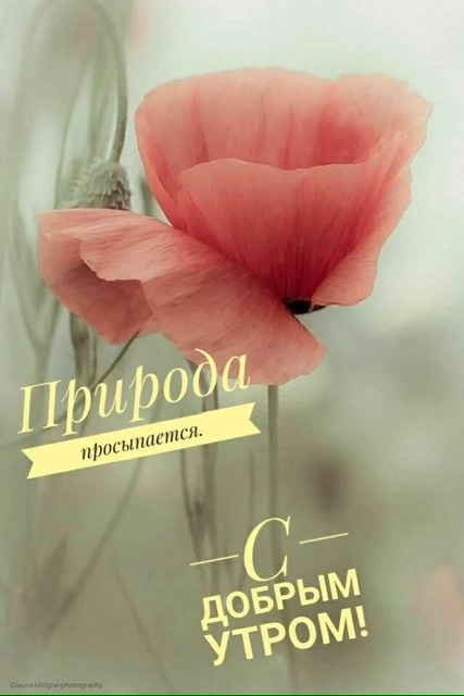 https://i4.imageban.ru/out/2025/09/06/f37c41f009e51ed9effe73e66e58fd8d.jpeg