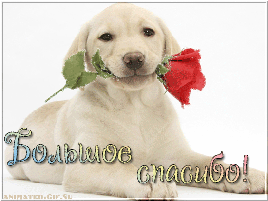https://i4.imageban.ru/out/2025/09/14/a8d7a4d8f945210f8de1f1abd168b169.gif