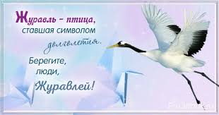 https://i4.imageban.ru/out/2025/09/14/cd6ba34f254b1ea867d3be8d1f499425.jpeg
