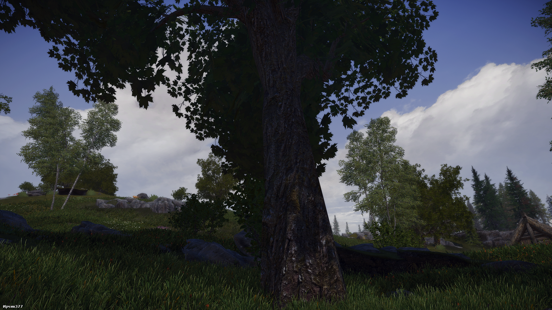 The Elder Scrolls V  Skyrim Special Edition Screenshot 2025.09.20 - 15.03.11.92.png