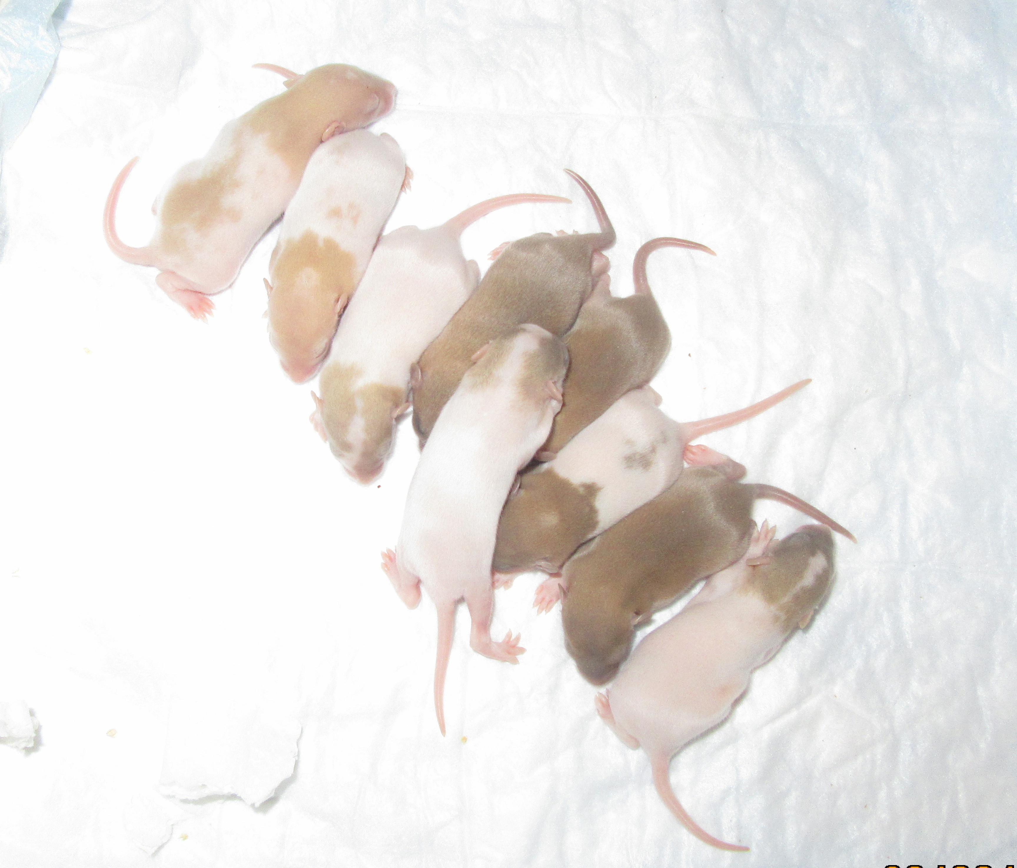 L4 мальчики 02.jpg