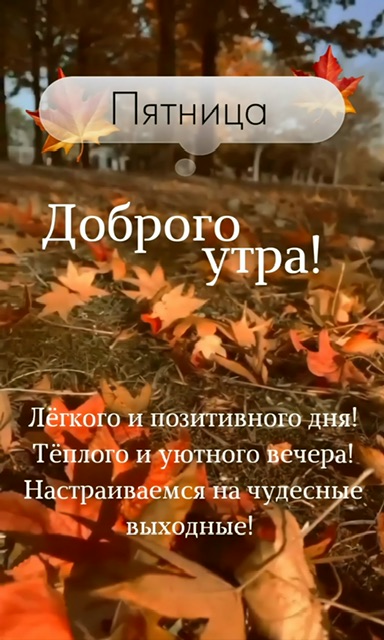 https://i4.imageban.ru/out/2025/10/10/3e5c164cad7b1d5b6f8f6c0cb51f67fe.jpeg