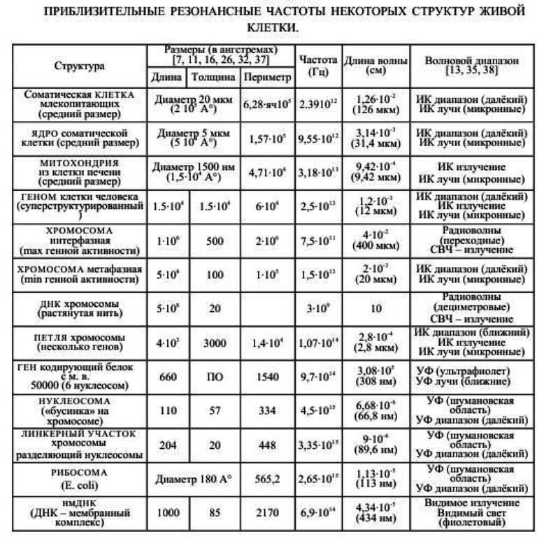 https://i4.imageban.ru/out/2025/10/13/dcc57192d6a8d0738797d618ace0e6a2.jpg