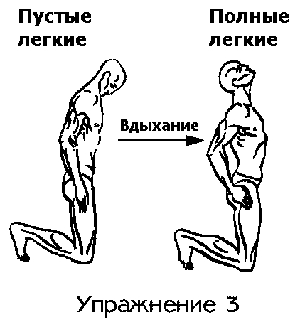 https://i4.imageban.ru/out/2025/10/14/66828bbac801b86c76c04bb96ae4960f.jpg