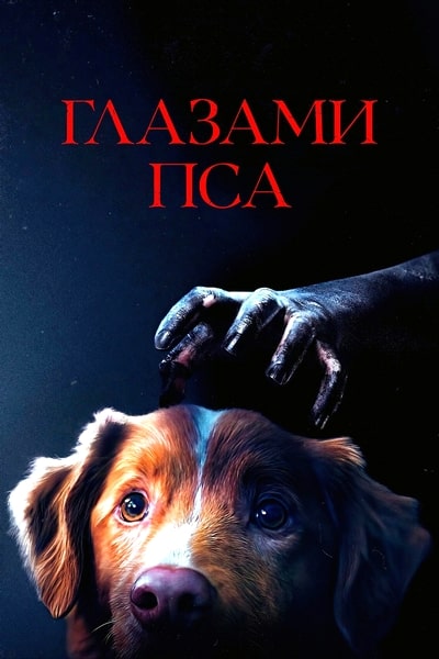 Cover.jpg