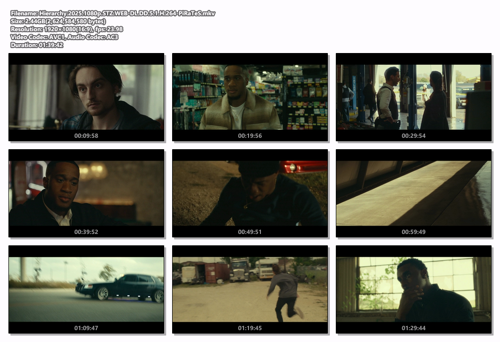 Hierarchy 2025.1080p STZ WEB-DL DD 5.1 H.264-PiRaTeS screenshots