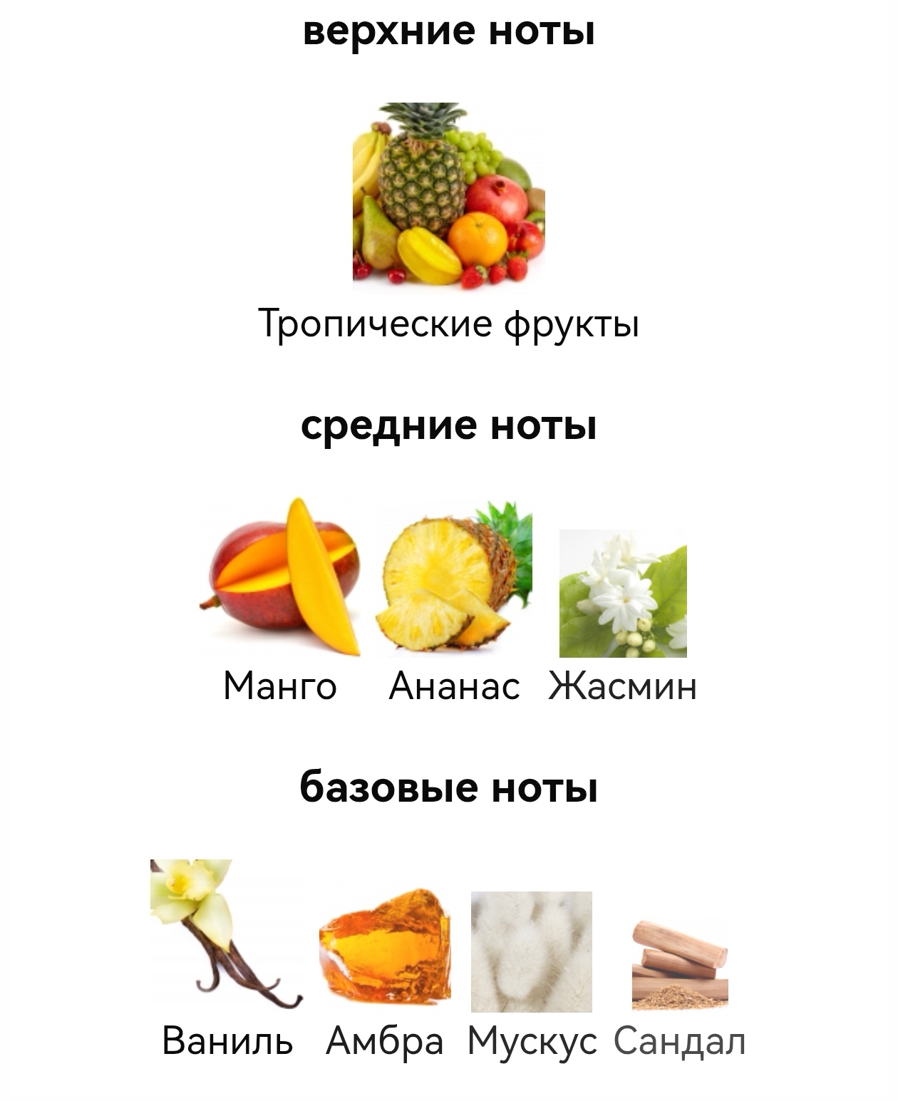 https://i4.imageban.ru/out/2025/11/06/ec11b9fcb12ec3609b10b004b6836b5a.jpg