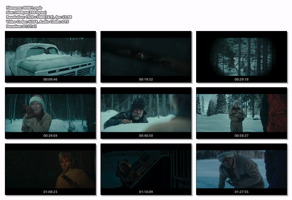 Dead of Winter 2025 BluRay 1080p AVC DTS-HD MA5.1-MTeam screenshots