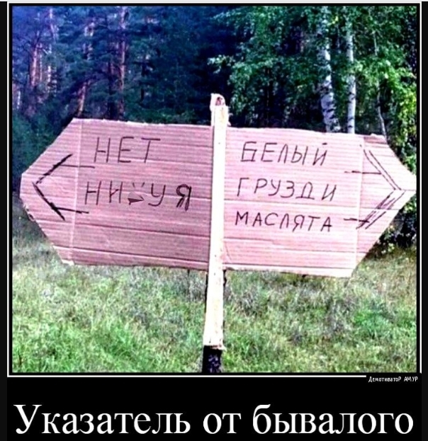 Скриншот 15-12-2025 223436.jpg