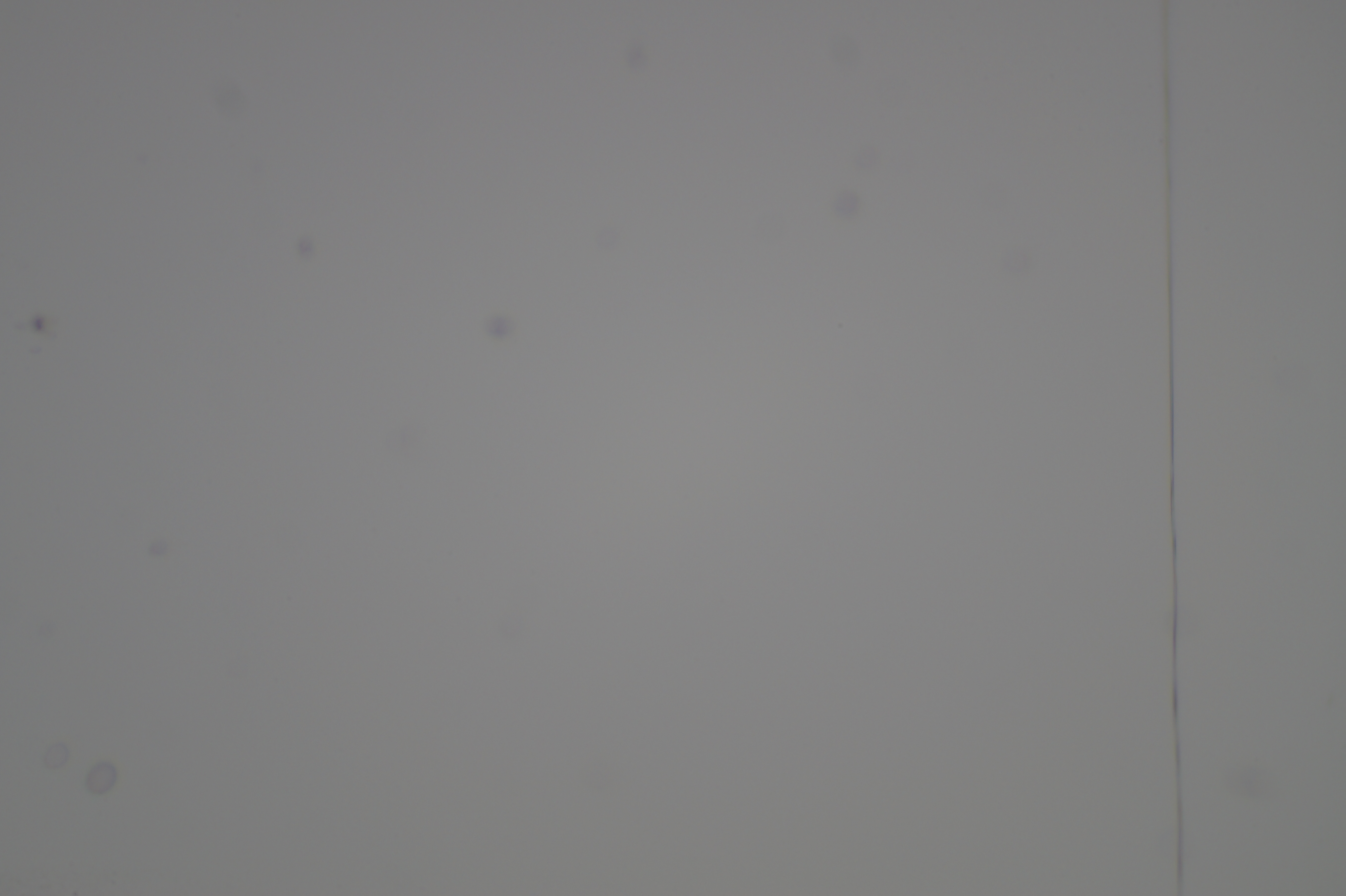 DSC08981.JPG