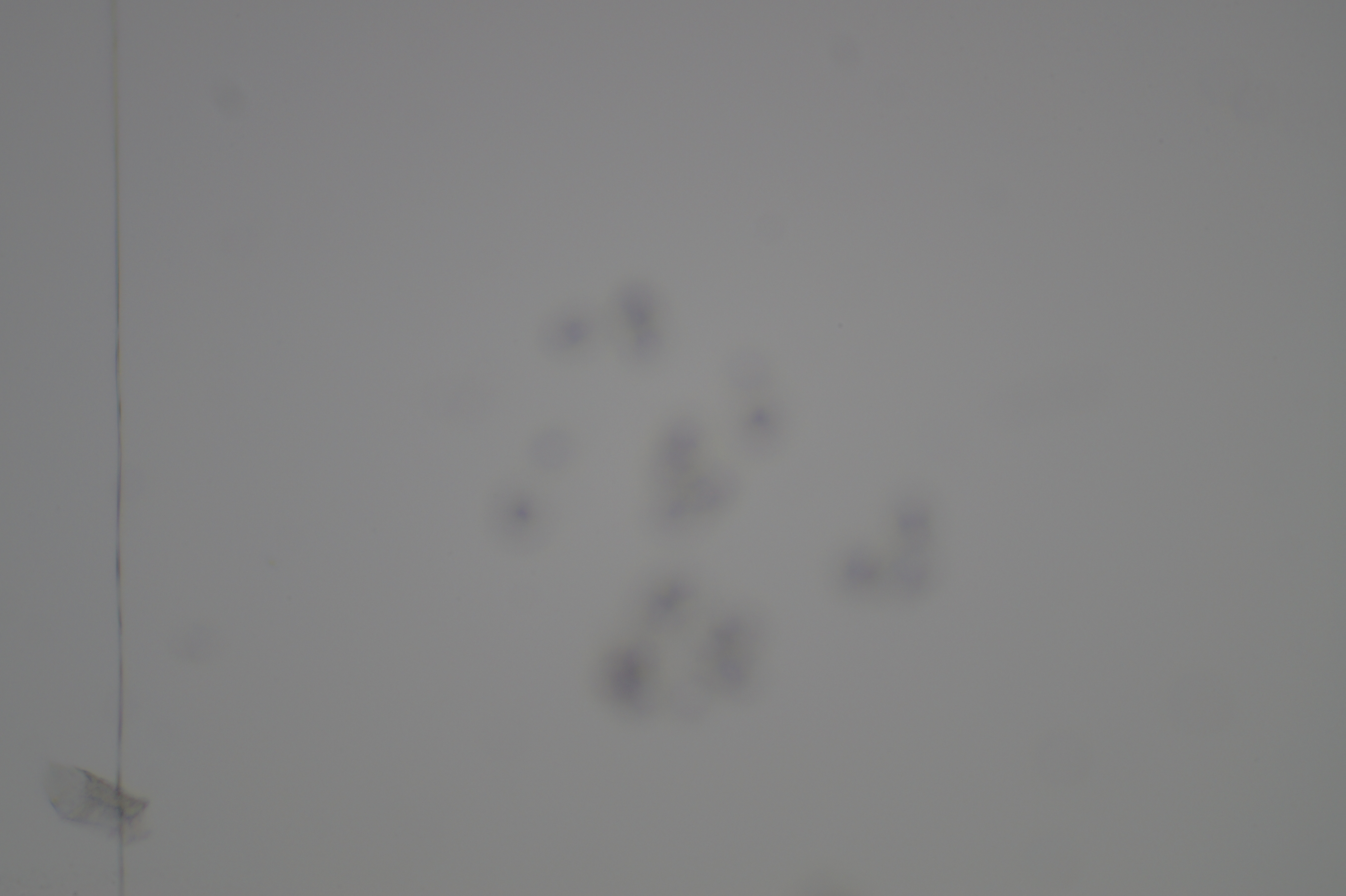 DSC08982.JPG