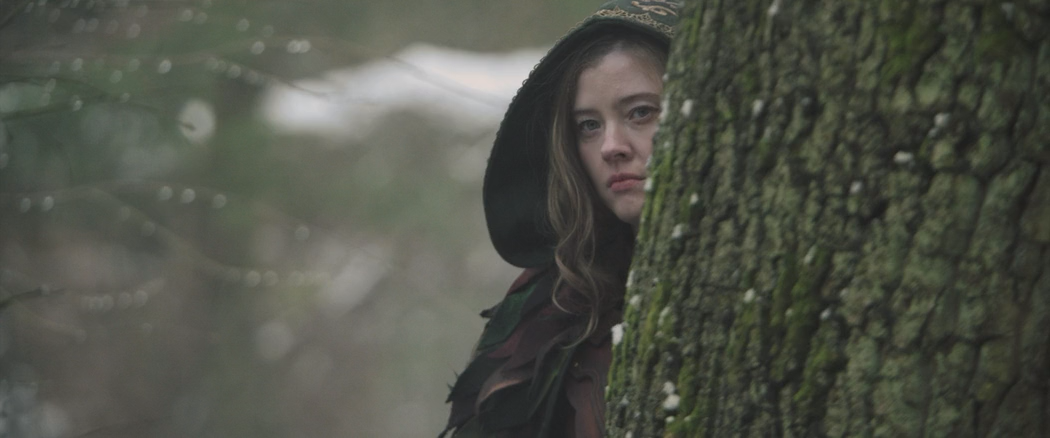 Вождь эльфов (2025) HDRip-AVC_ivanes.mkv_snapshot_00.09.30.653.png