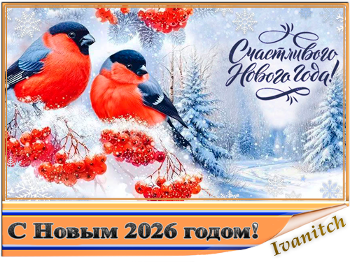 Обои для рабочего стола - С Новым 2026 годом! [3840x2160] [25шт.] (2025) JPEG