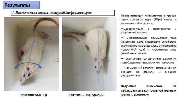 Результаты исследования 1