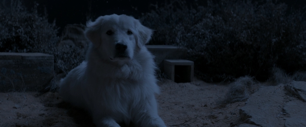 По кличке Чудак.2015.BDRip AVC msltel.mkv_snapshot_00.41.03.877.jpg