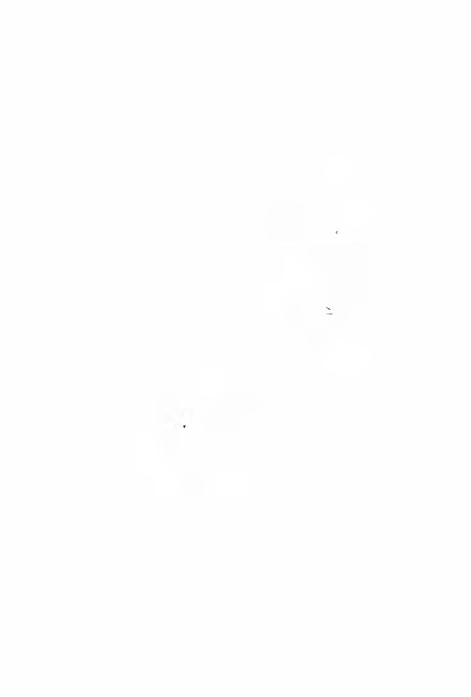 Носовский Г., Фоменко А. - Как было на самом деле. Последний путь Святого семейства (Как было на самом деле) - 2016_pic10.jpg