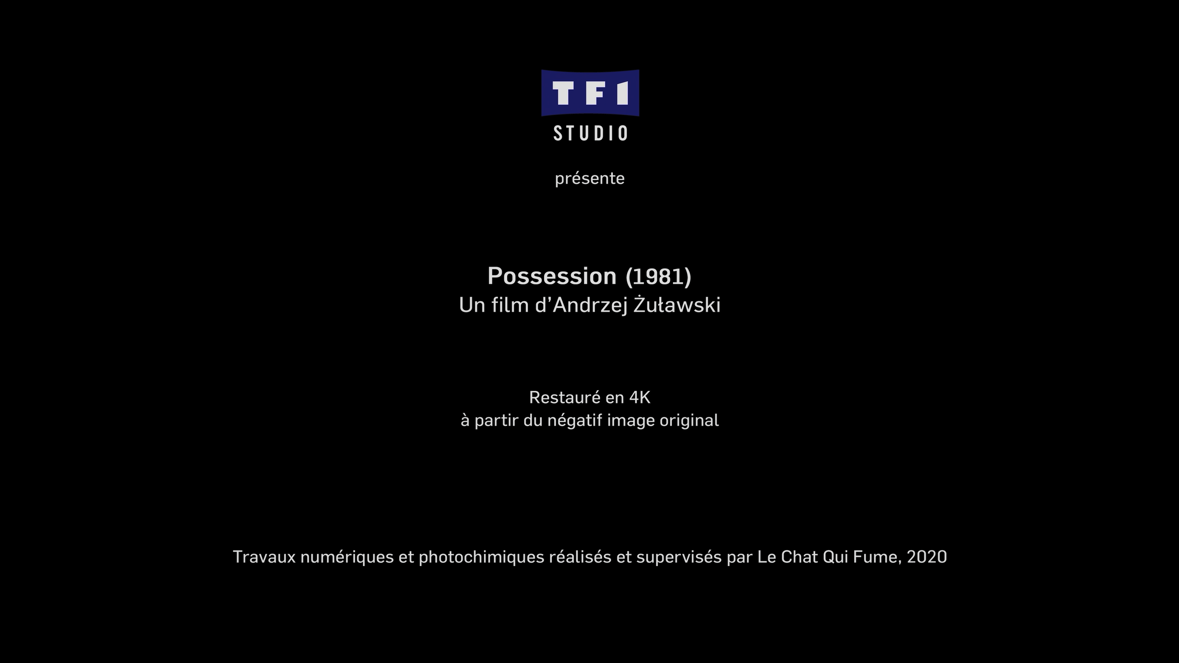 mpv-shot_Possession.1981.2160p.GBR.UHD.BDRemux.HDR.DV.HEVC-Нечипорук_00_00_26_0001.png