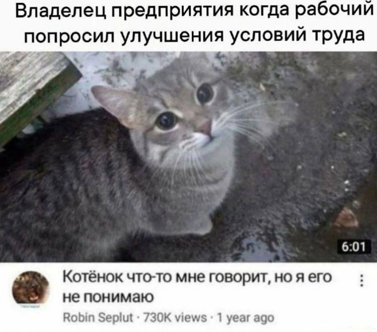https://i4.imageban.ru/out/2026/02/05/94d321780570f3474994aacac4f78bda.png