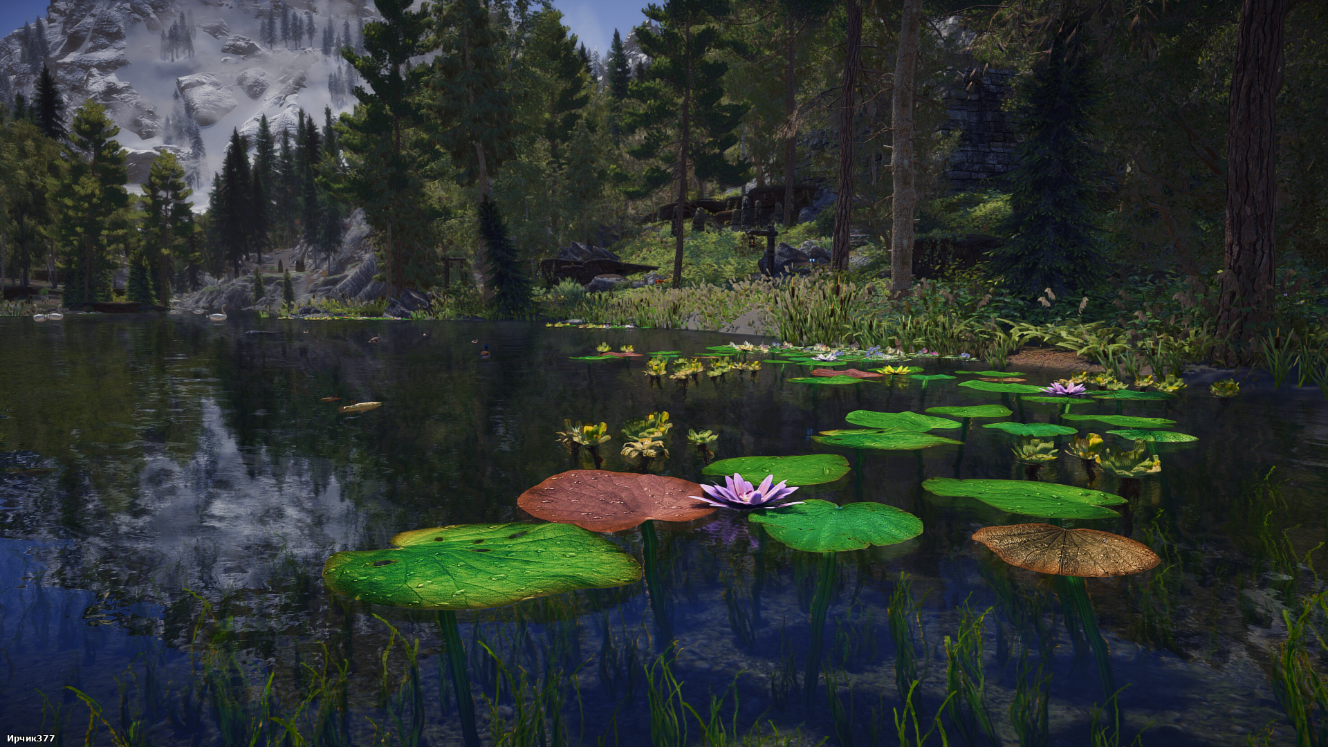 The Elder Scrolls V  Skyrim Special Edition Screenshot 2026.01.31 - 19.31.54.50.png