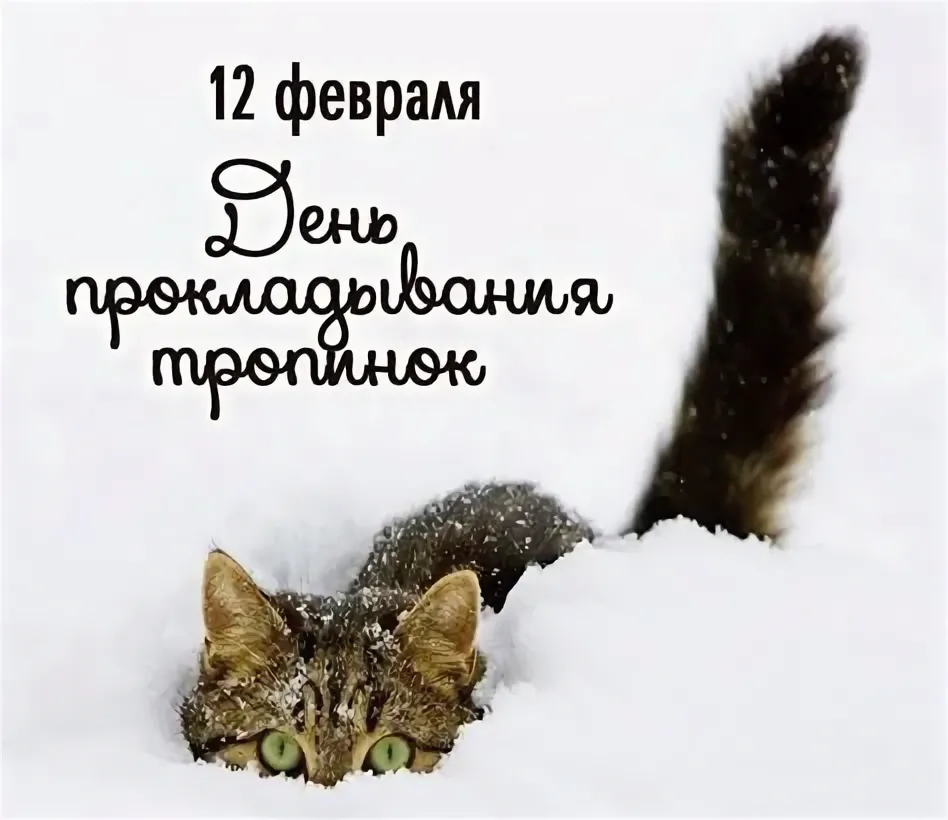 https://i4.imageban.ru/out/2026/02/12/85a60d1ce2205179d0d763153eda4077.webp
