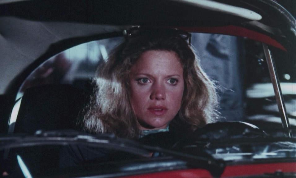 Дикие пчёлы.1976.BDRip AVC msltel.mkv_snapshot_00.44.29.617.jpg