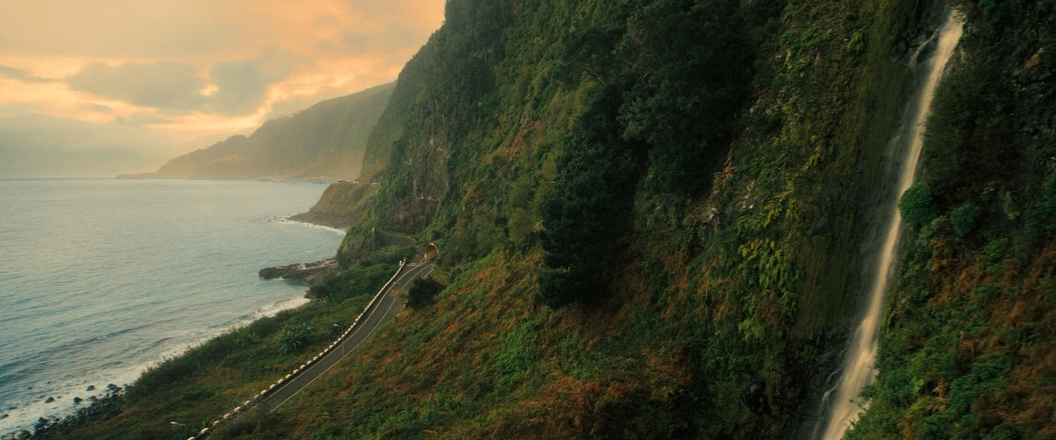 Примат (2025) WEB-DLRip-AVC_ivanes.mkv_20260214_204626.006.png