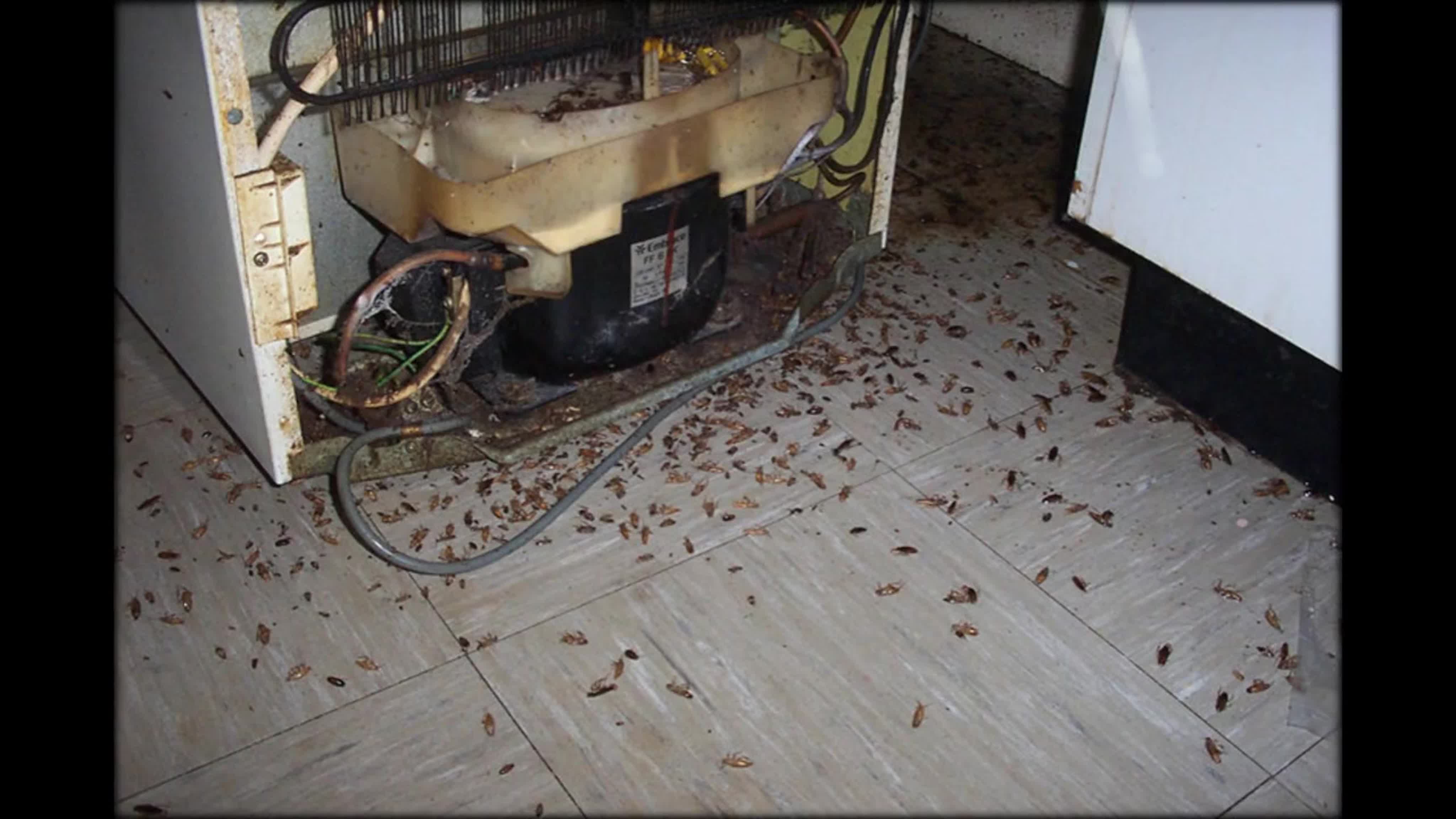 Испорченные продукты