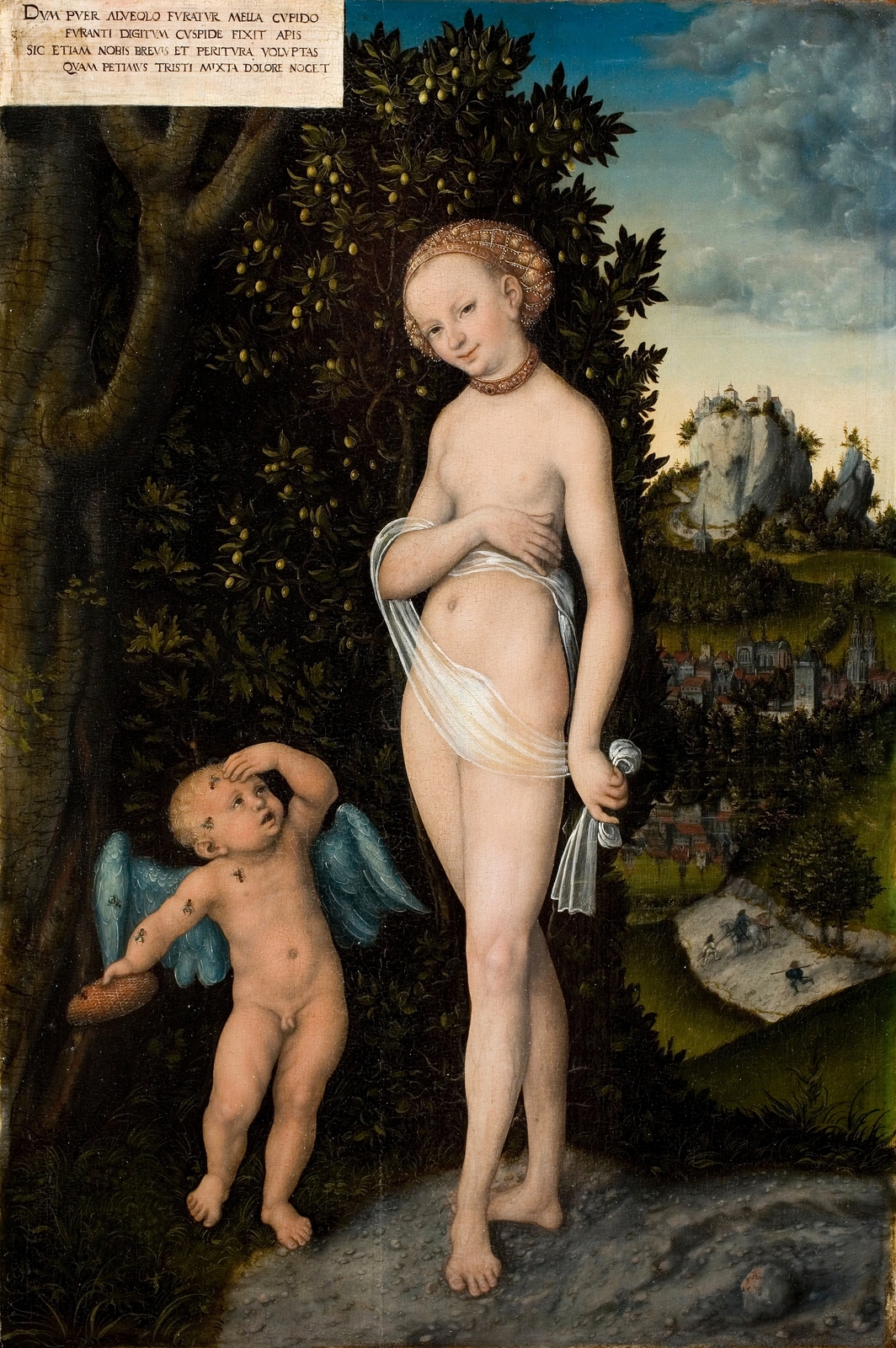 8Венера и Амур, укравший соты (Venus and Cupid, the Honey Thief)_1530_68.7 х 49.8_д.,м._Копенгаген, Национальная галерея.jpg
