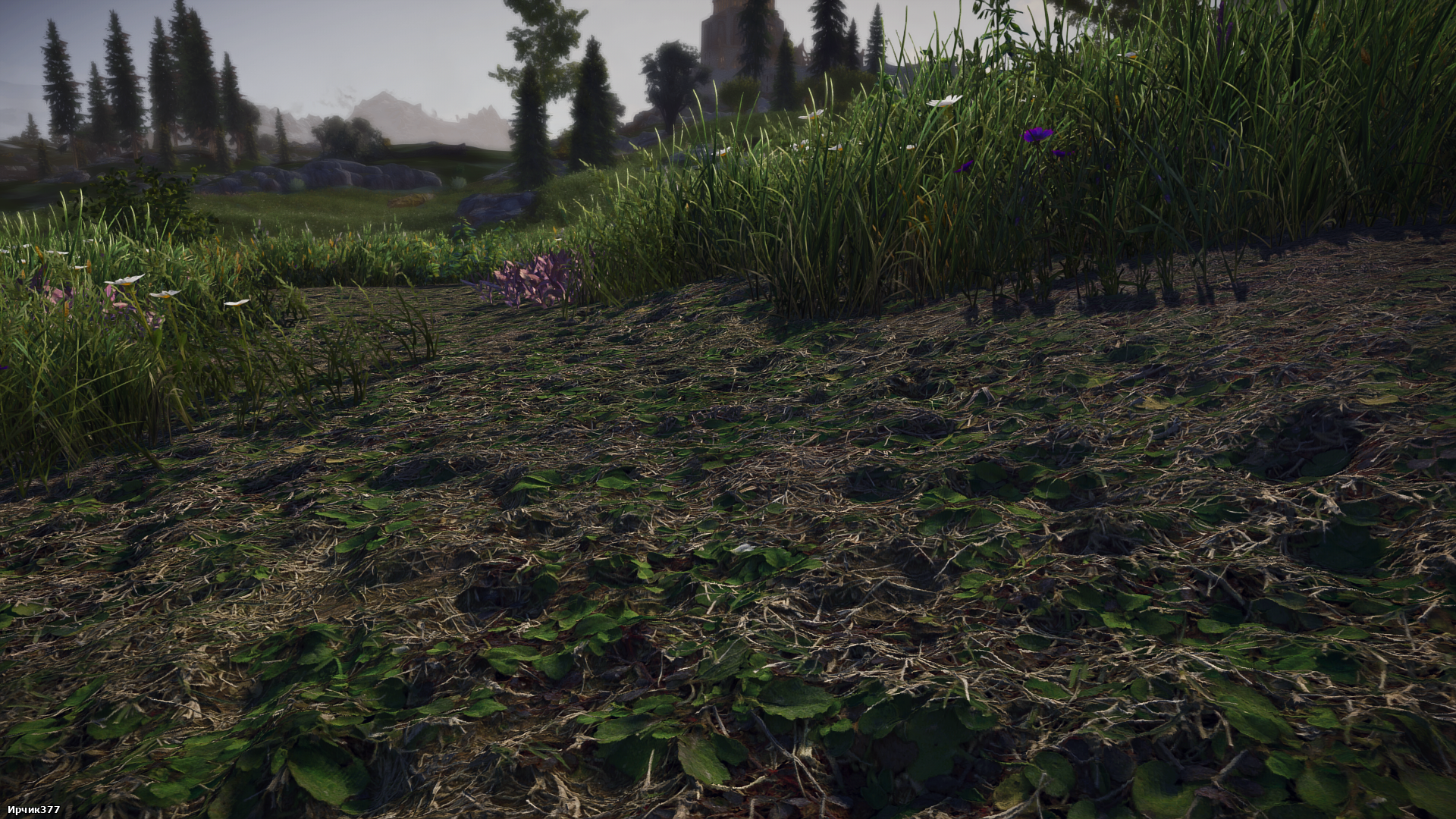 The Elder Scrolls V  Skyrim Special Edition Screenshot 2026.02.25 - 23.48.38.72.png