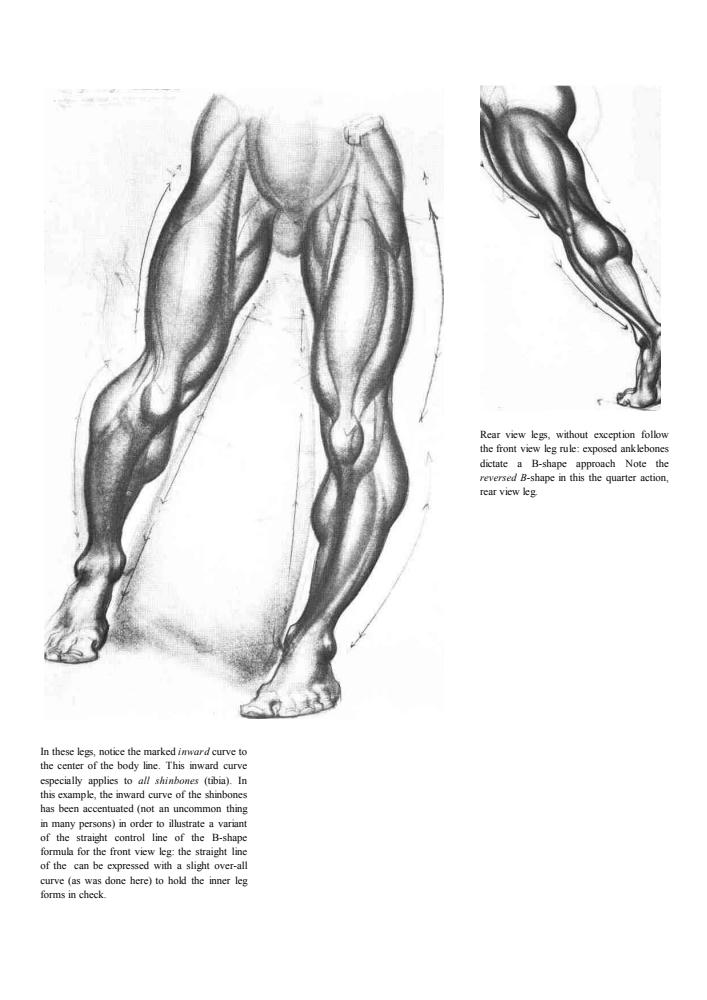 Dynamic Figure Drawing_pic30.jpg